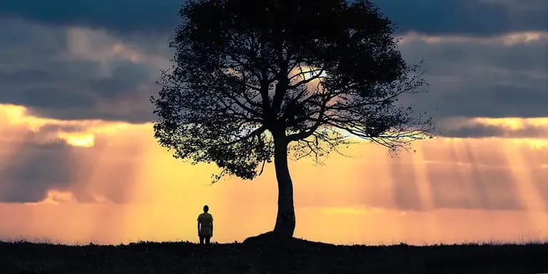 Lessons in Communication and Boundaries